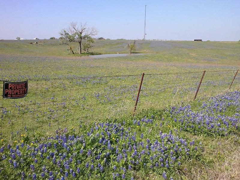 2013-04-14 11.19.12.jpg